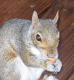 confused_al's Avatar