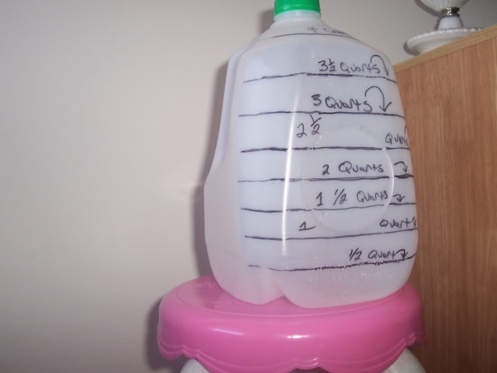 Name:  100_1303.jpg
Views: 17263
Size:  46.3 KB