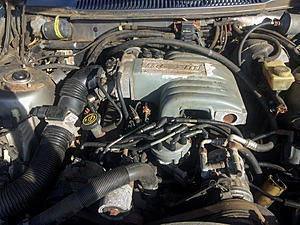 New to me 1984 volvo 245 with a 302 swapped-img_0287.jpg