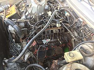 New to me 1984 volvo 245 with a 302 swapped-img_0420-1-.jpg