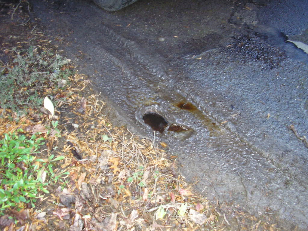 Name:  P3020014.jpg
Views: 145
Size:  248.9 KB