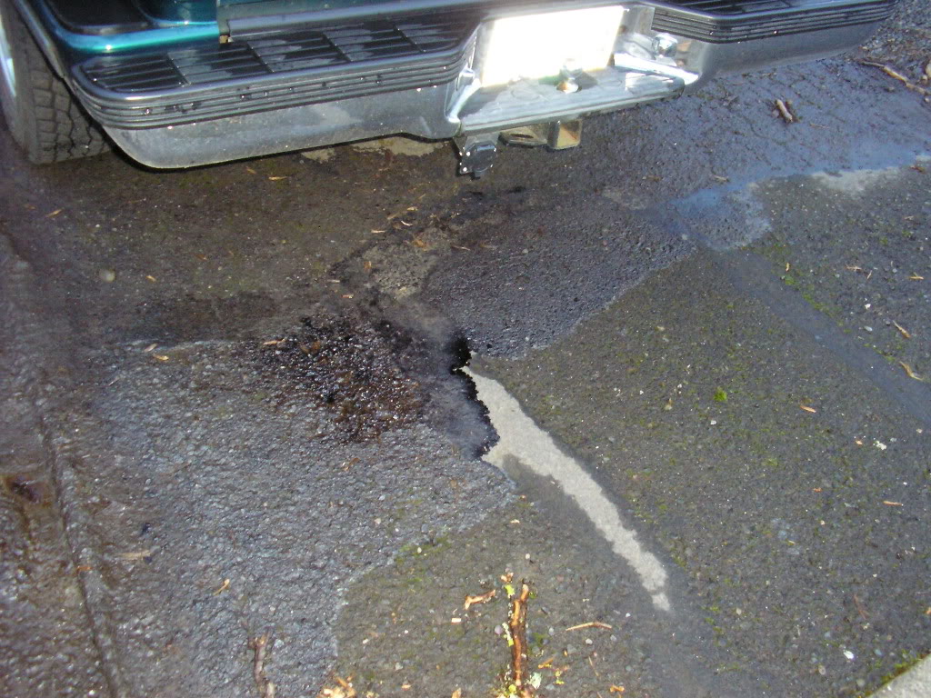 Name:  P3020015.jpg
Views: 139
Size:  201.6 KB