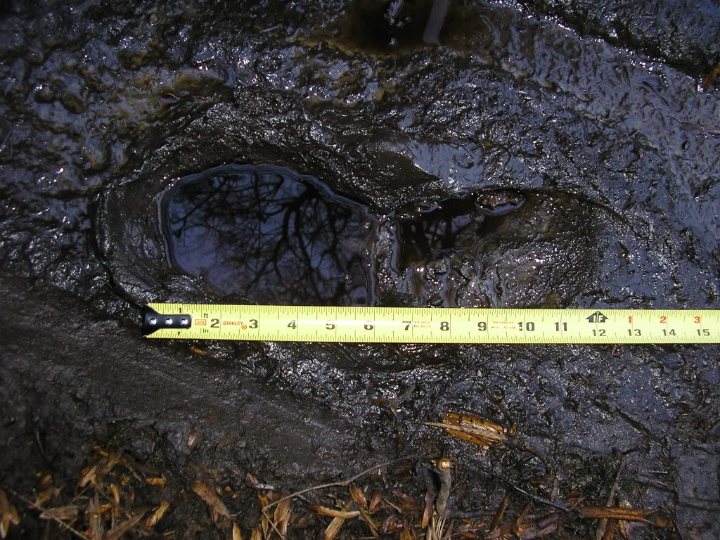 Name:  P3020018.jpg
Views: 152
Size:  269.4 KB