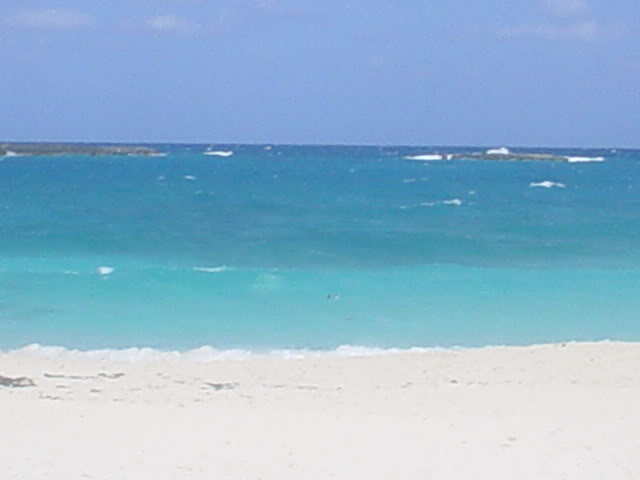 Name:  pictures031.jpg
Views: 74
Size:  17.0 KB