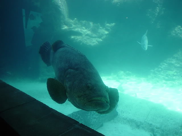 Name:  pictures033.jpg
Views: 40
Size:  27.0 KB