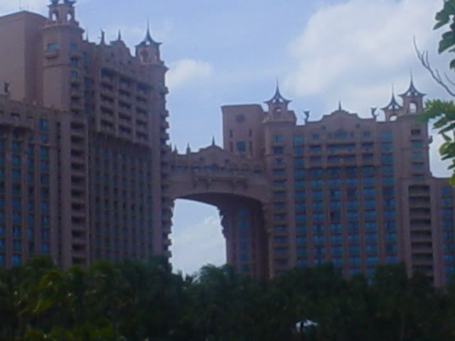 Name:  pictures042.jpg
Views: 56
Size:  29.1 KB