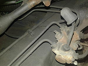 What is this?-20171202_110831.jpg