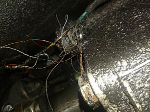 What is this?-20171202_111249.jpg