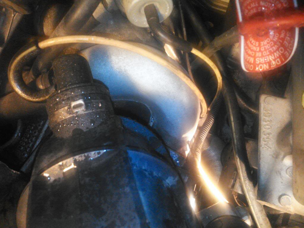 Name:  NCM_0121.jpg
Views: 228
Size:  84.1 KB