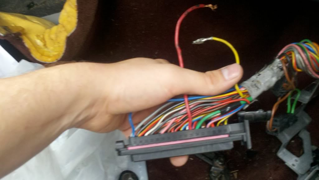 Name: 2011-07-18_12-19-42_89.jpg
Views: 663
Size: 56.6 KB