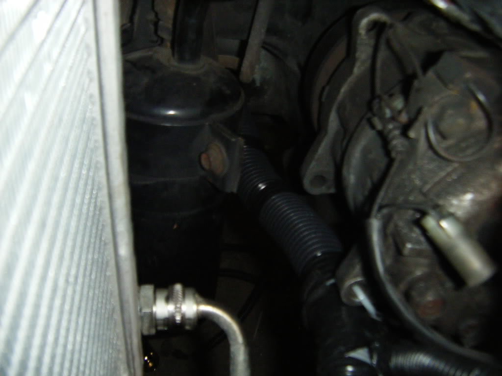 Name:  DSCF3012.jpg
Views: 2871
Size:  65.2 KB