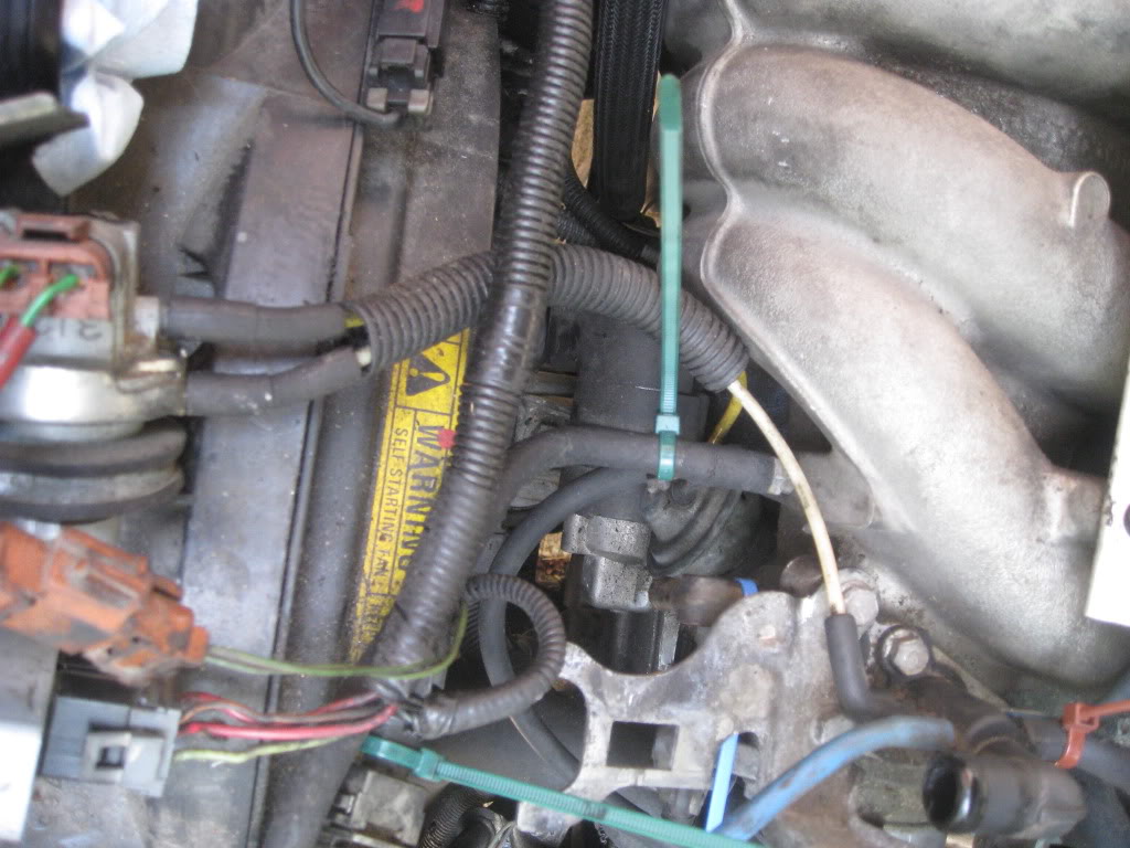 Name:  IMG_0689.jpg
Views: 119
Size:  121.7 KB