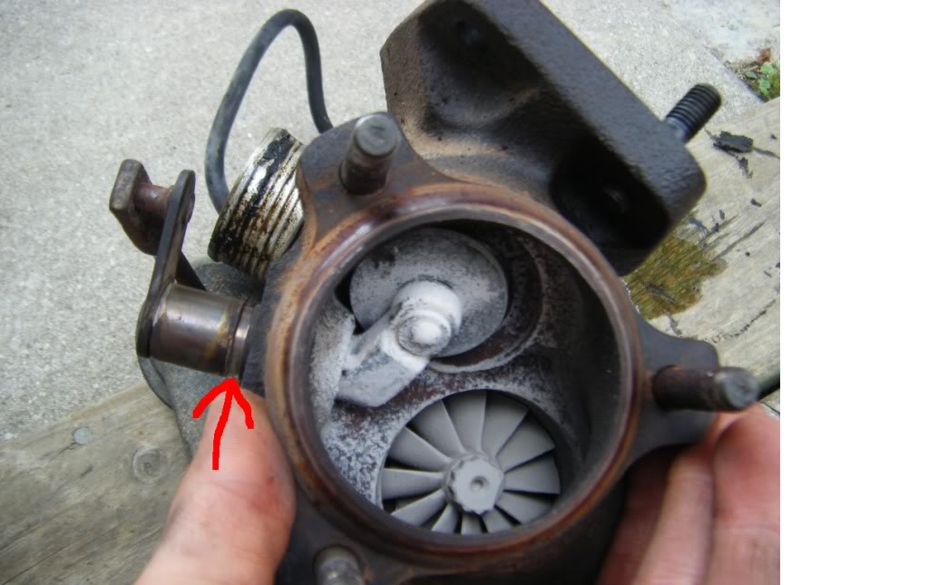 Name:  walkedwastegate.jpg
Views: 77
Size:  80.0 KB