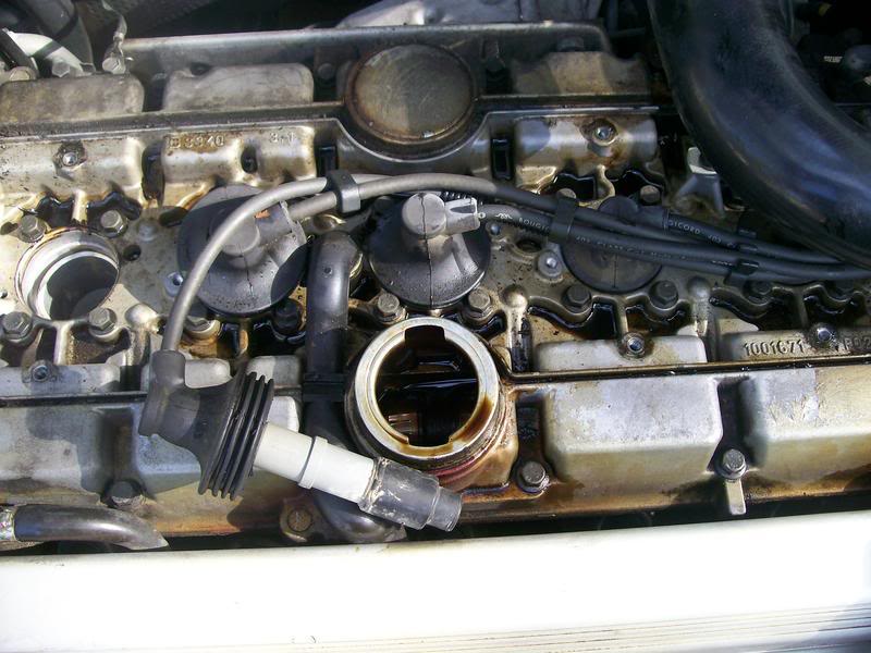 Name:  100_3966.jpg
Views: 197
Size:  80.5 KB