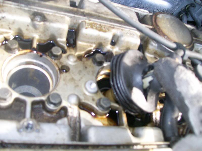 Name:  100_3970.jpg
Views: 145
Size:  57.8 KB