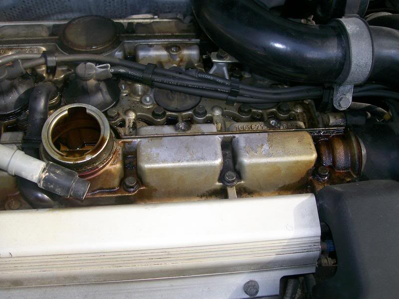 Name:  100_3969.jpg
Views: 202
Size:  66.6 KB