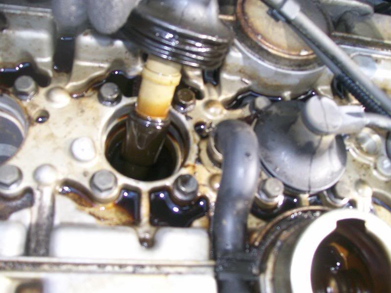 Name:  100_3971.jpg
Views: 141
Size:  60.6 KB