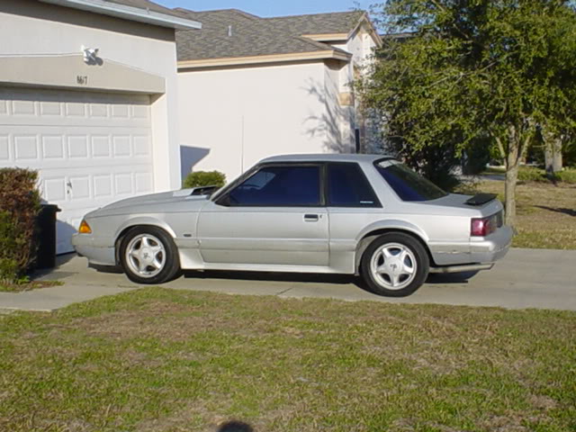 Name:  Picture059.jpg
Views: 60
Size:  72.7 KB