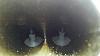 850 R Burning Oil out of Exhaust.-valves-oil-caked-.jpg
