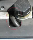 Name:  IMG_2803.jpg
Views: 484
Size:  3.8 KB