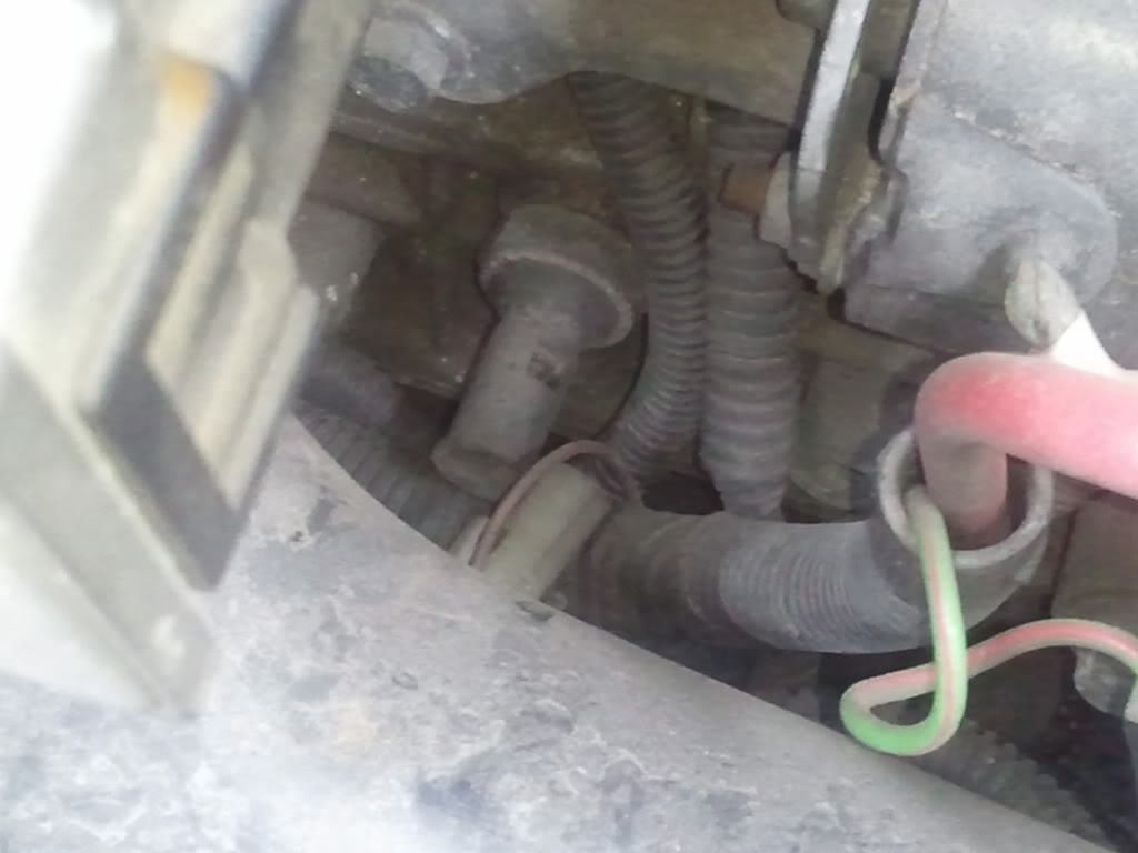 Name:  WP_000605.jpg
Views: 672
Size:  66.7 KB