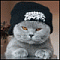 Phyook's Avatar